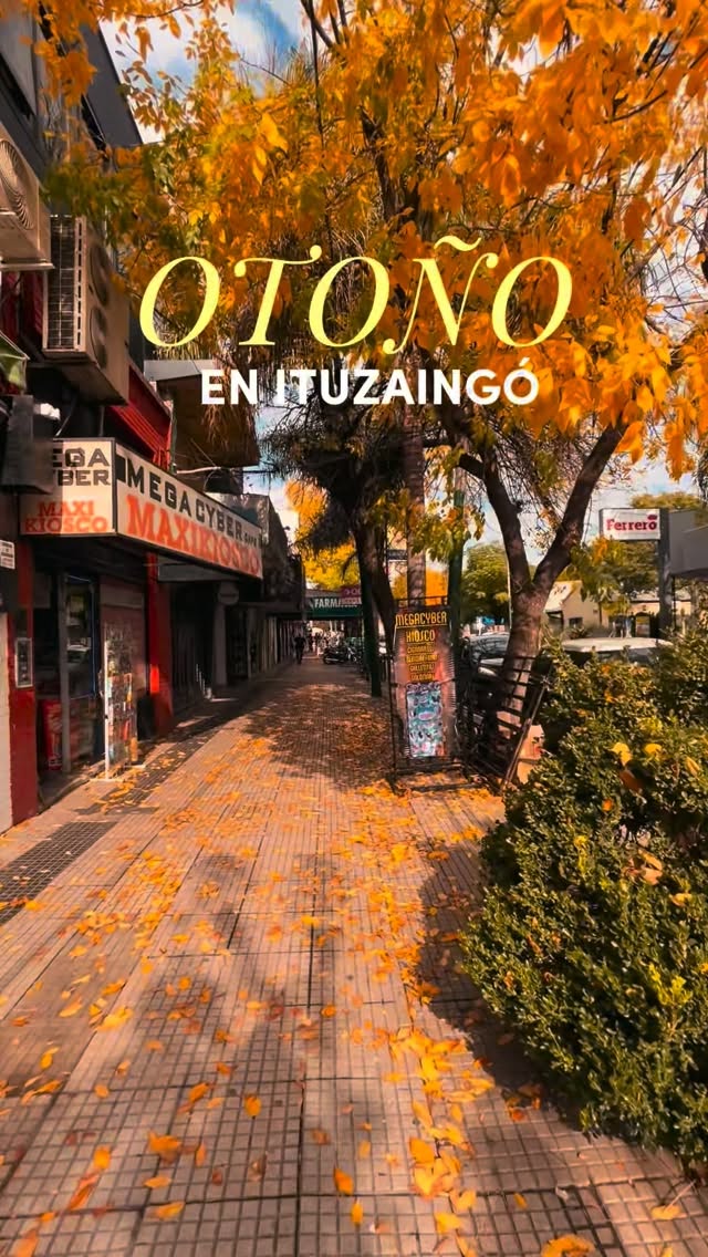 🍂Los colores del otoño ya se sienten en #Ituzaingó 

Recorré la ciudad y compartí tu postal favorita 📸