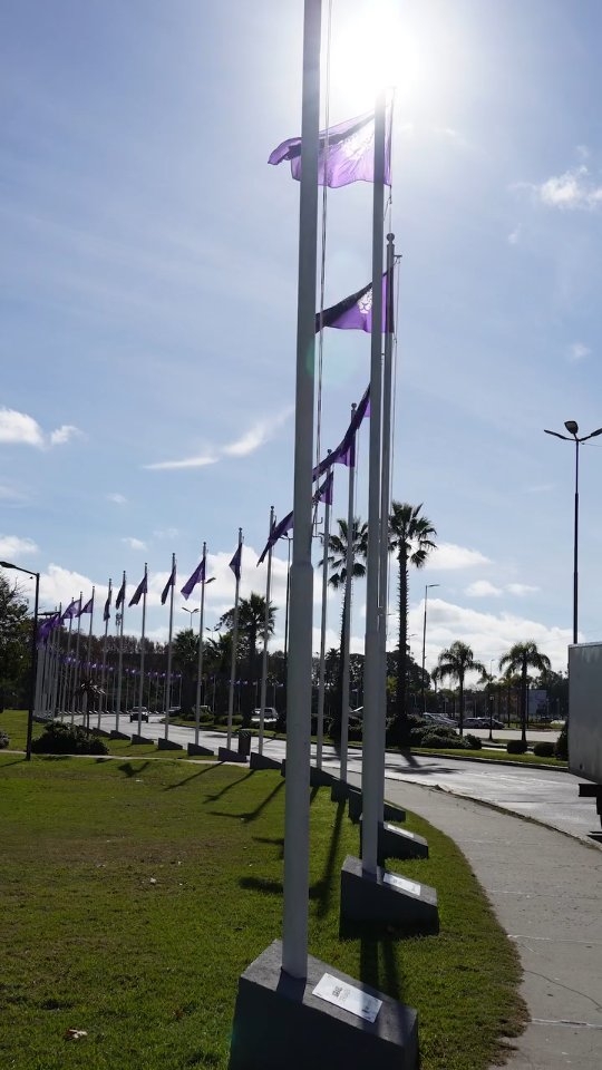 A 11 años del primer #NiUnaMenos, plantamos un jacarandá como símbolo de memoria, lucha y reflexión por las víctimas de ...