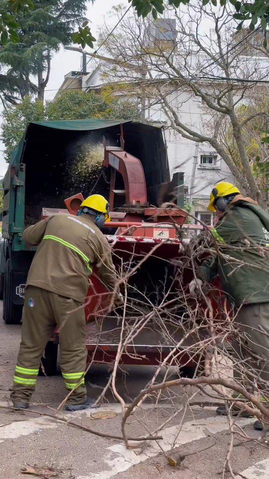 🌳 Calles despejadas y más seguras en tu barrio.

Realizamos una nueva jornada de poda en Florida para despejar los tech...