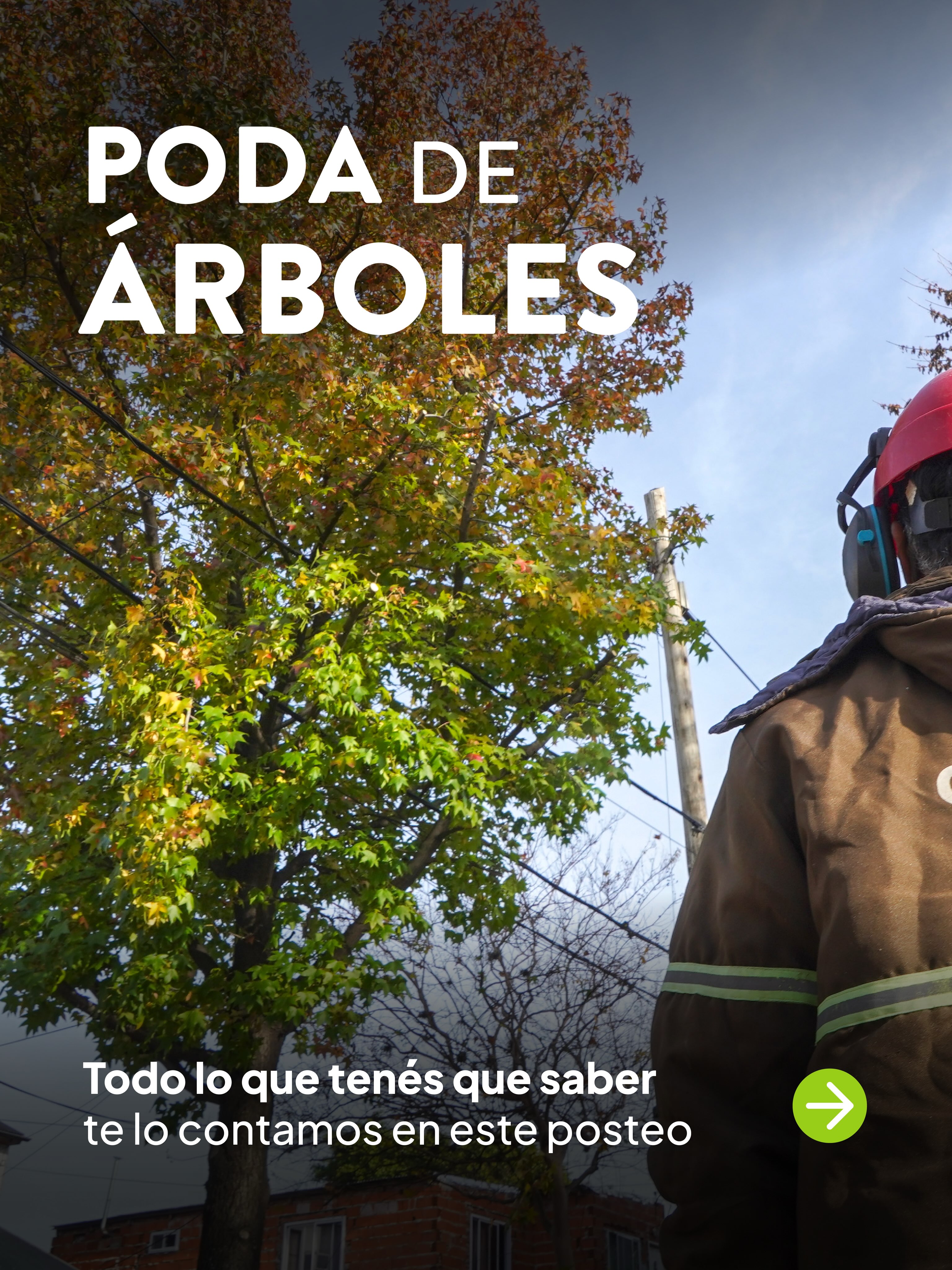 🌲 Ahora ya sabes como pedir tu poda en tiempo y forma.

📌 Guardate este post para tenerlo siempre a mano.

❗️Es import...